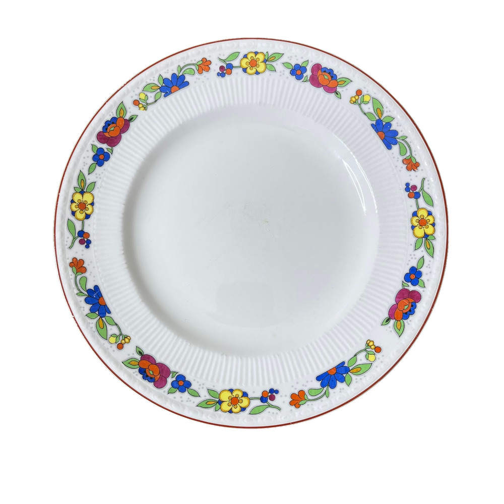 Myott & Sons‎ The Orient Bright Flower Pattern 10 Inch Dinner Plate England 1844